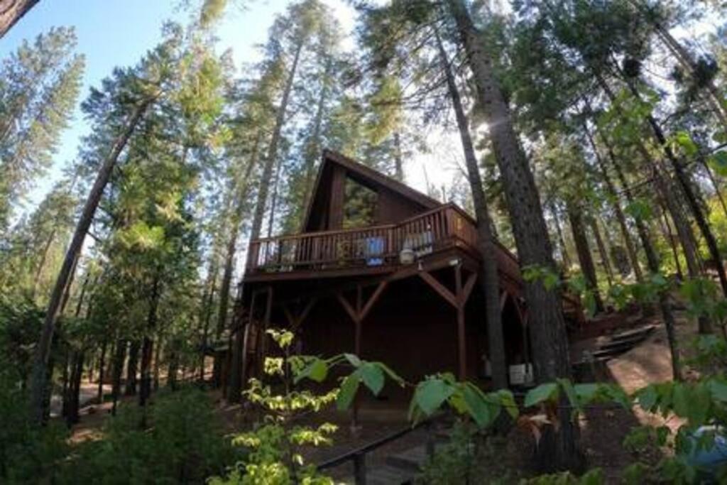Pinecrest A-Frame Family Fun Near Dodge Ridge Villa Long Barn Eksteriør bilde